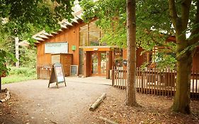 Thorpe Forest Cabins - Forest Holidays